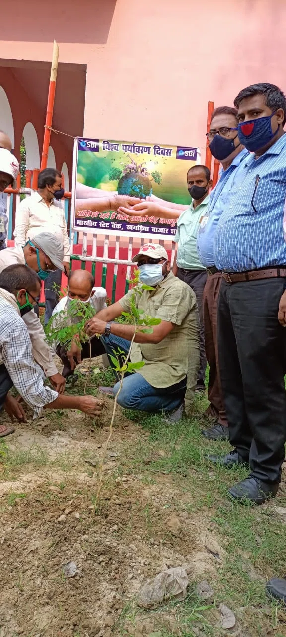 पर्यावरण संतुलित रखने को ले वृक्षारोपण जरुरी: मनोज