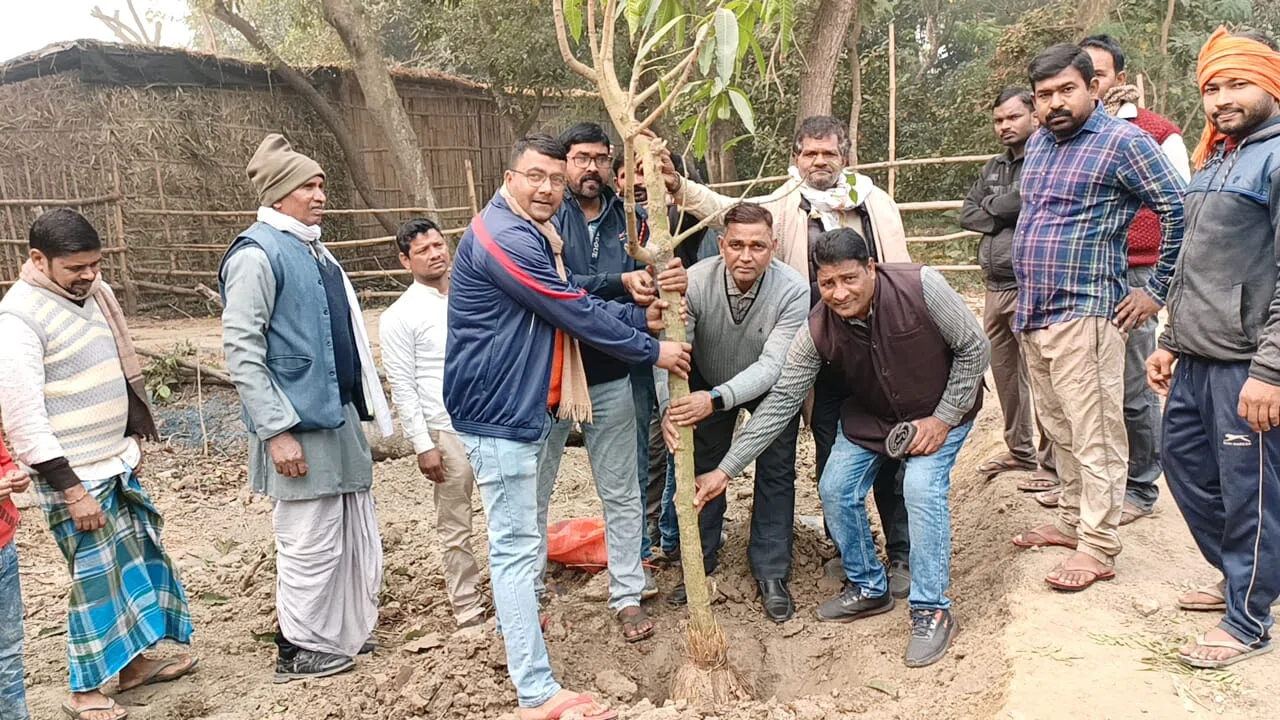 पसराहा में वृक्षारोपण कर नव वर्ष का किया अभिनंदन,एसबीआई के शाखा प्रबंधक अनुज कुमार मिश्रा ने कहा-एक वृक्ष सौ पुत्रों के समान