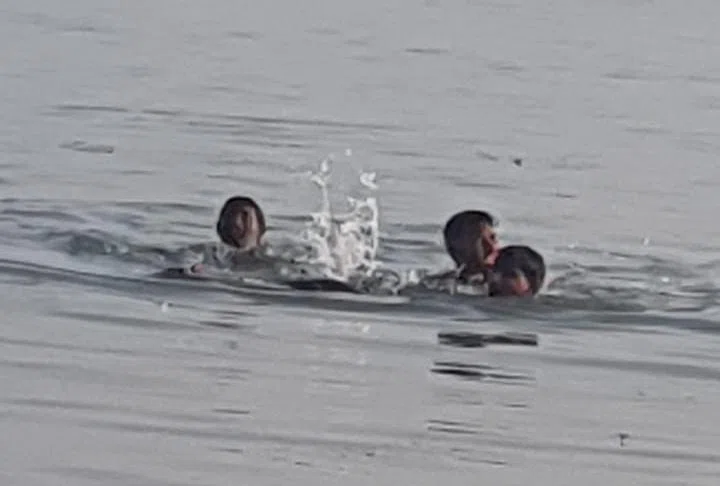 प्रतिमा विसर्जन के दौरान गंगा की उपधारा में डूबने से किशोर की मौत,मचा कोहराम