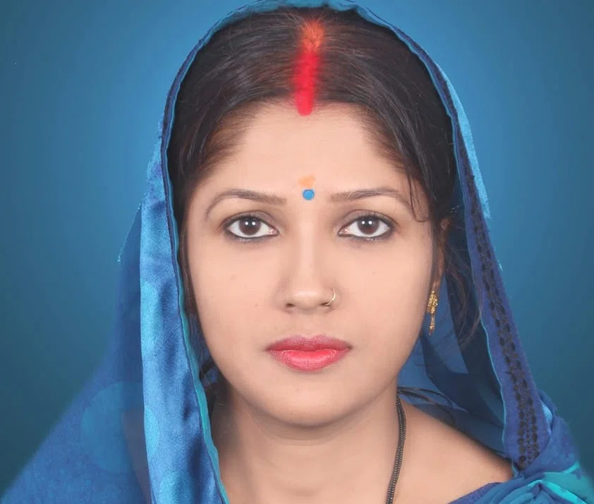 गर्मी का आगमन होते ही बढ़ा मच्छरों का प्रकोप,वार्ड पार्षद रुबी कुमारी ने नगर परिषद क्षेत्र में फॉगिंग कराने की उठाई मांग,कहा-विभिन्न बीमारियों की आशंका से सहमे हैं शहरवासी