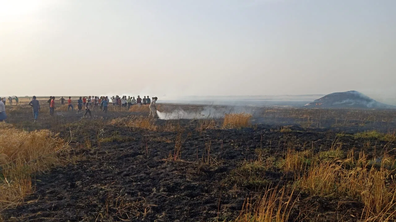 असामाजिक तत्वों द्वारा आग लगाने से दो किसानों की खेत में लगी फसलें जलकर हो गई राख