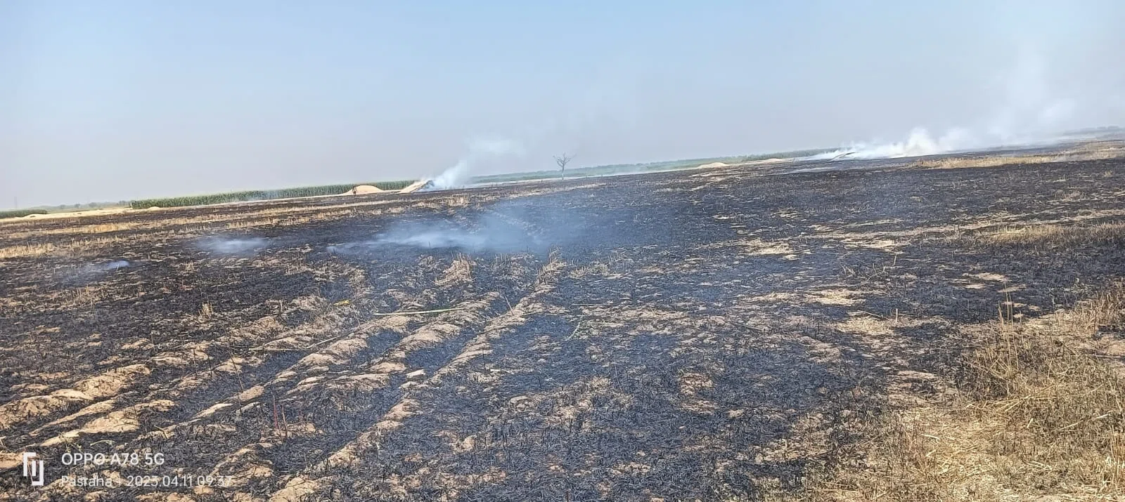 अग्निदेव का ताडंव लगातार जारी,बहियार में लगी आग,असामाजिक तत्वों द्वारा भूसा को आग के हवाले किए जाने की आशंका