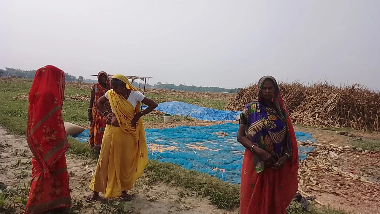 कुर्बन बहियार में मक्के की फसल तैयार कर रहे किसानों पर अपराधियों ने बरसायी गोलियां,एक ही परिवार के चार लोग गोली लगने से जख्मी,दो की हालत नाजुक