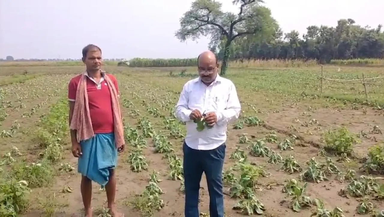किसानों के माथे से आखिर क्यों टपकने लगा है खून का पसीना,जिला प्रशासन से की उचित मुआवजे की मांग
