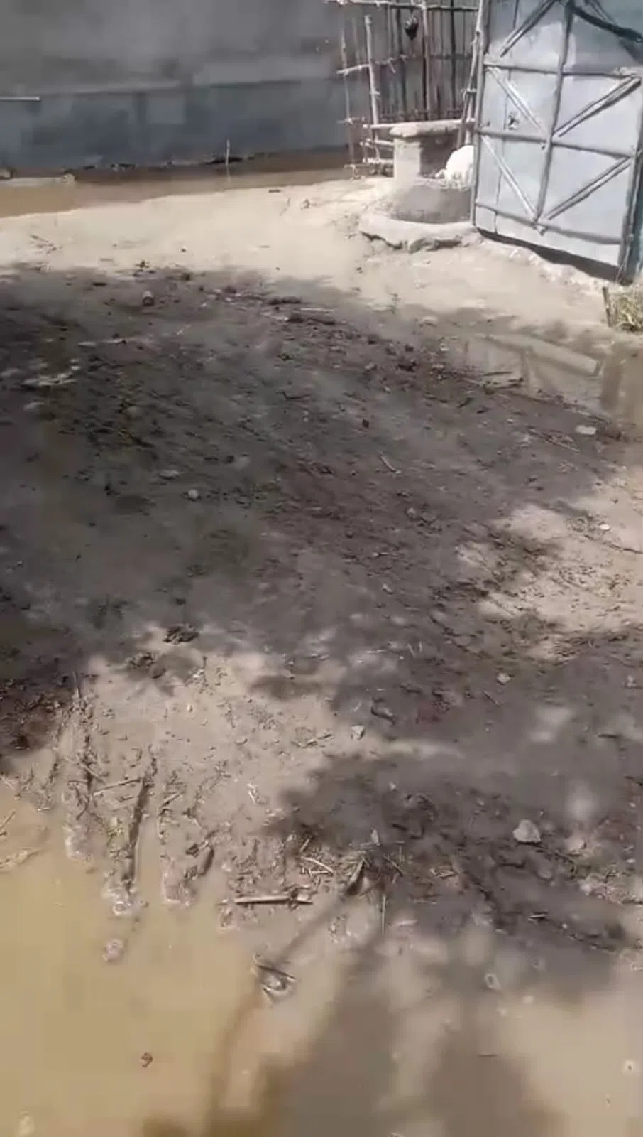 "बिना सूचना पट्ट बन रही सड़क, कीचड़ में फंसी जनता": मानसी के वार्ड-09 में निर्माण कार्य पर गंभीर अनियमितता के आरोप, उच्चस्तरीय जांच की मांग